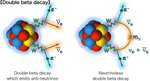 neutron beta decay
